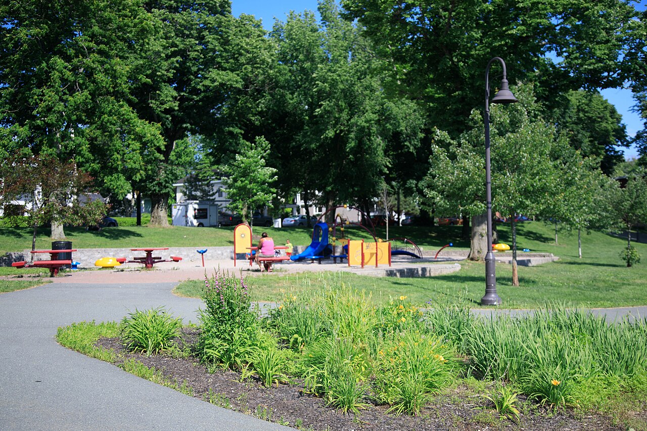 Tree-lined park path