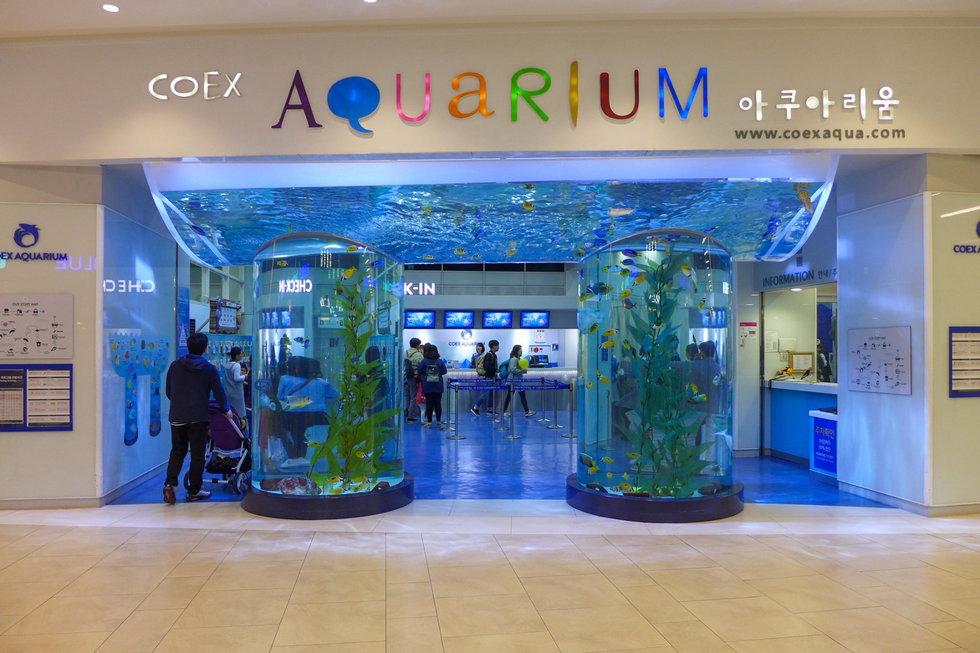 COEX水族館的水槽