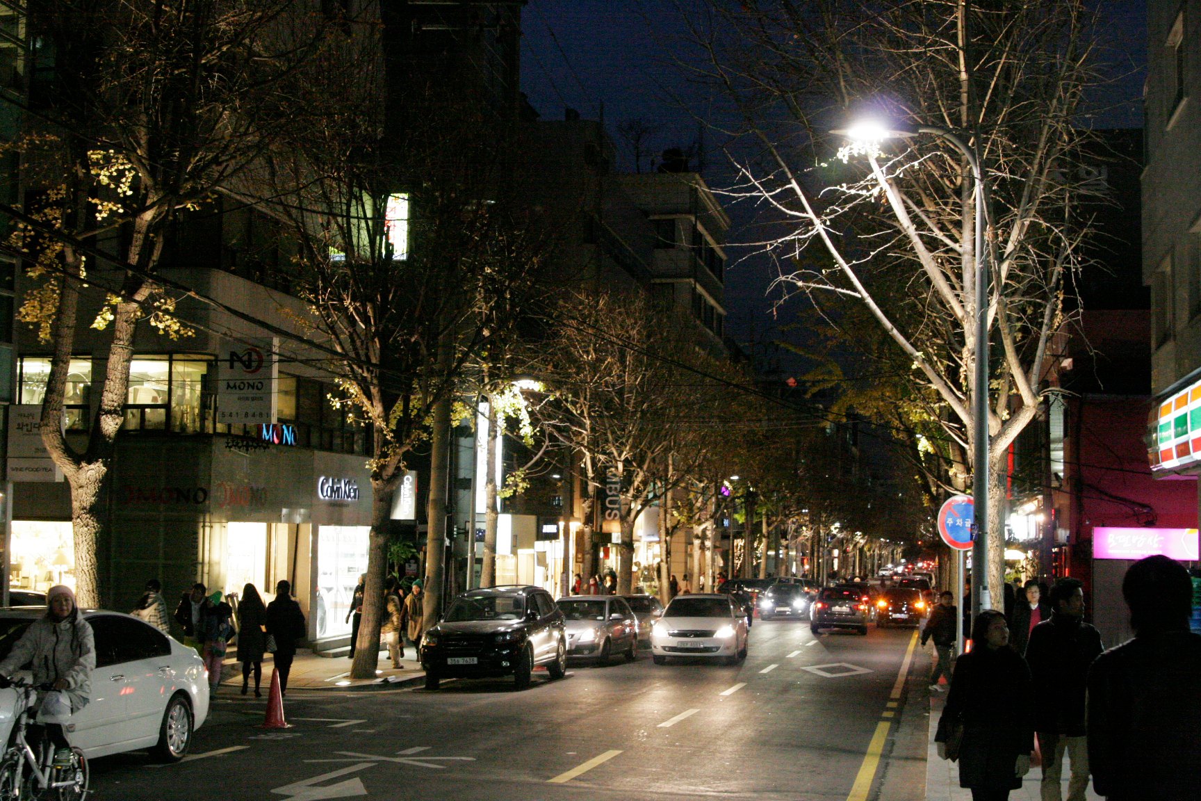 夜晚的林蔭道