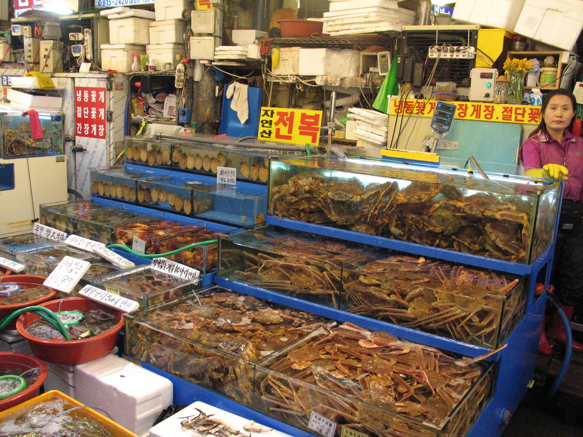 鷺梁津水產市場的魚攤