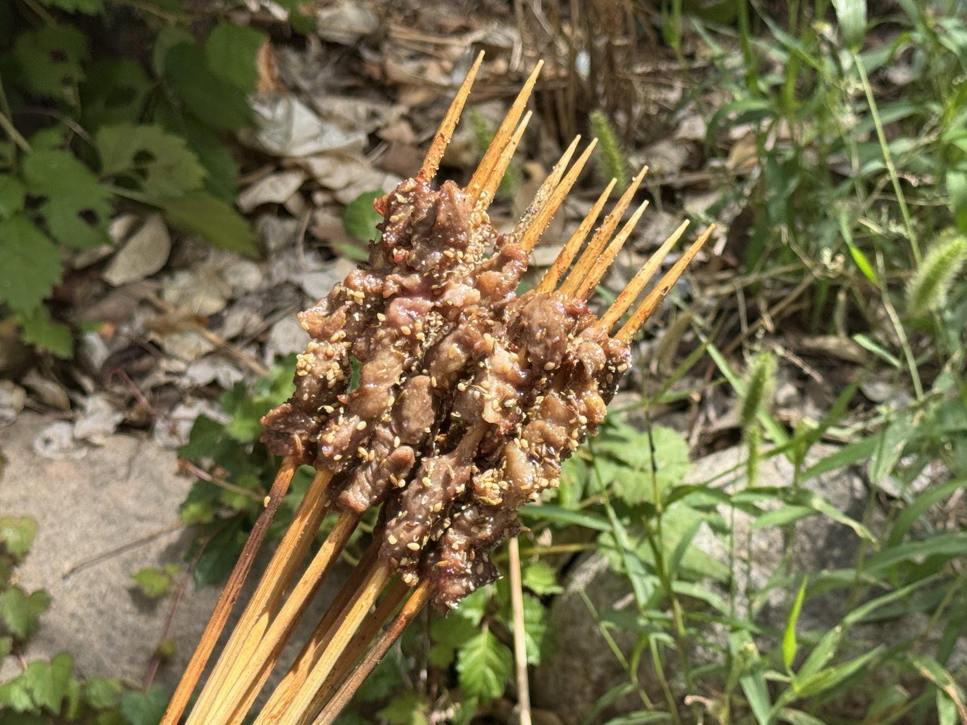 Several finished lamb skewers held in the hand