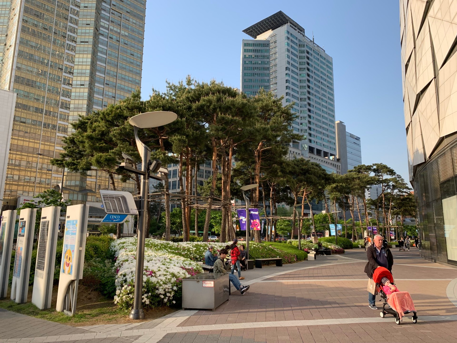 從街上仰望樂天世界塔