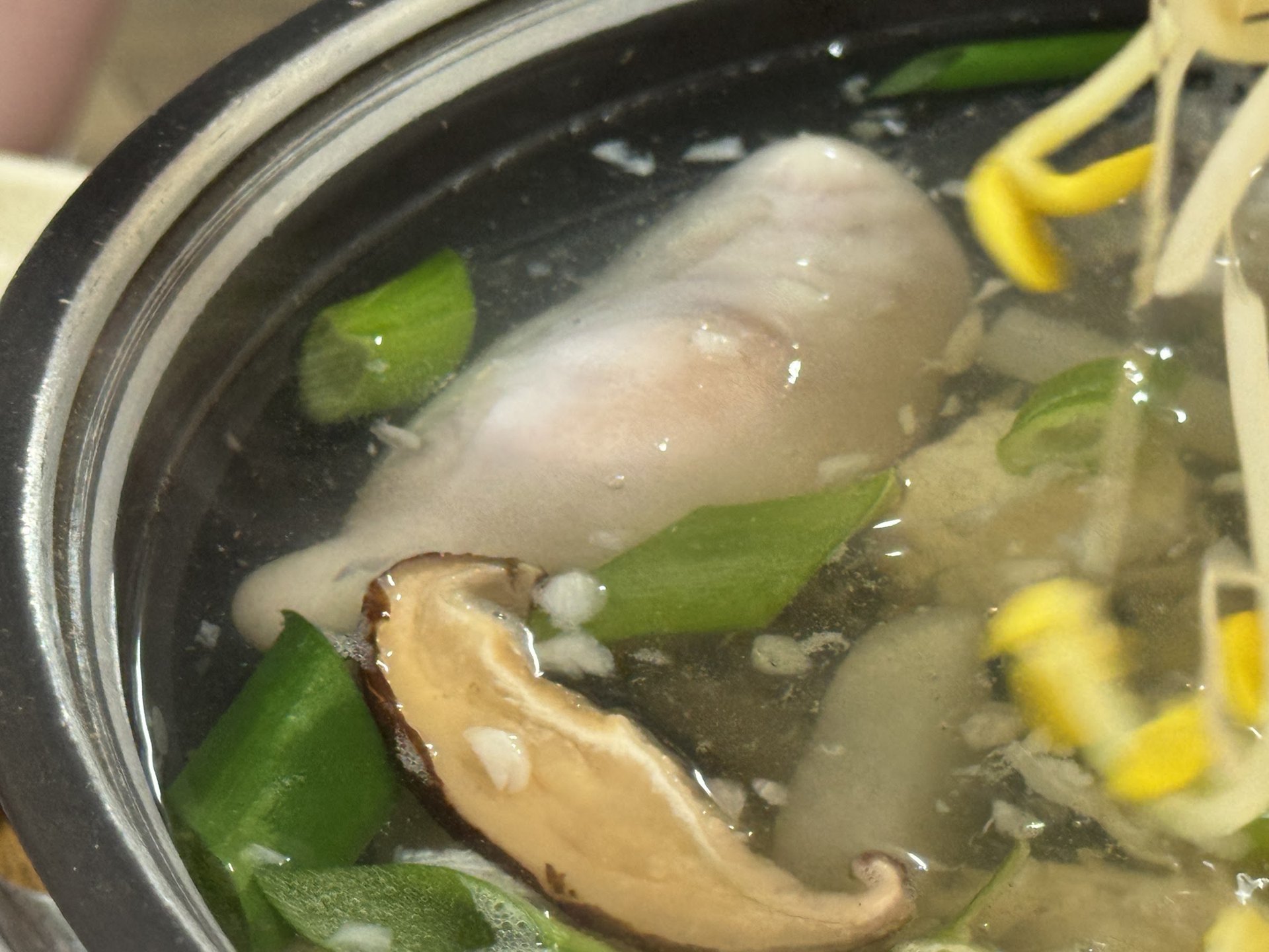 沉在清湯裡的河豚肉與香菇