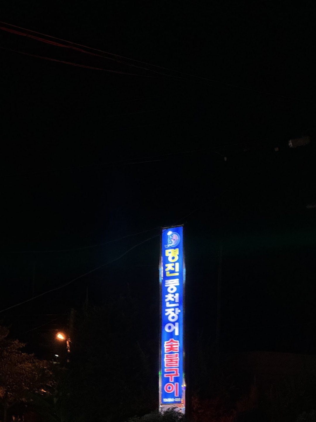 夜裡亮著藍燈的明進 風川鰻魚直立招牌