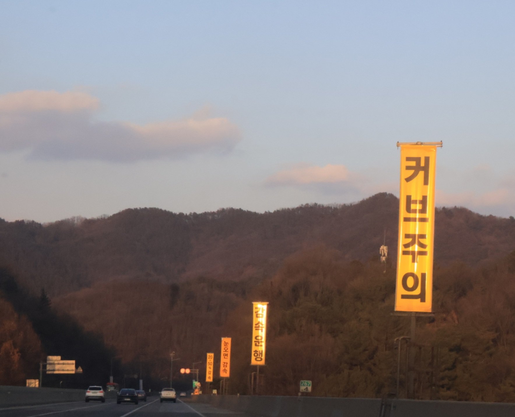 海岸線和山區，車的價值完全不同