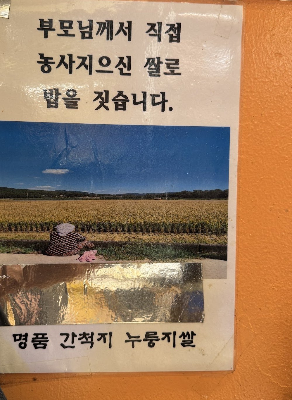 寫著用父母種的米煮飯的公告