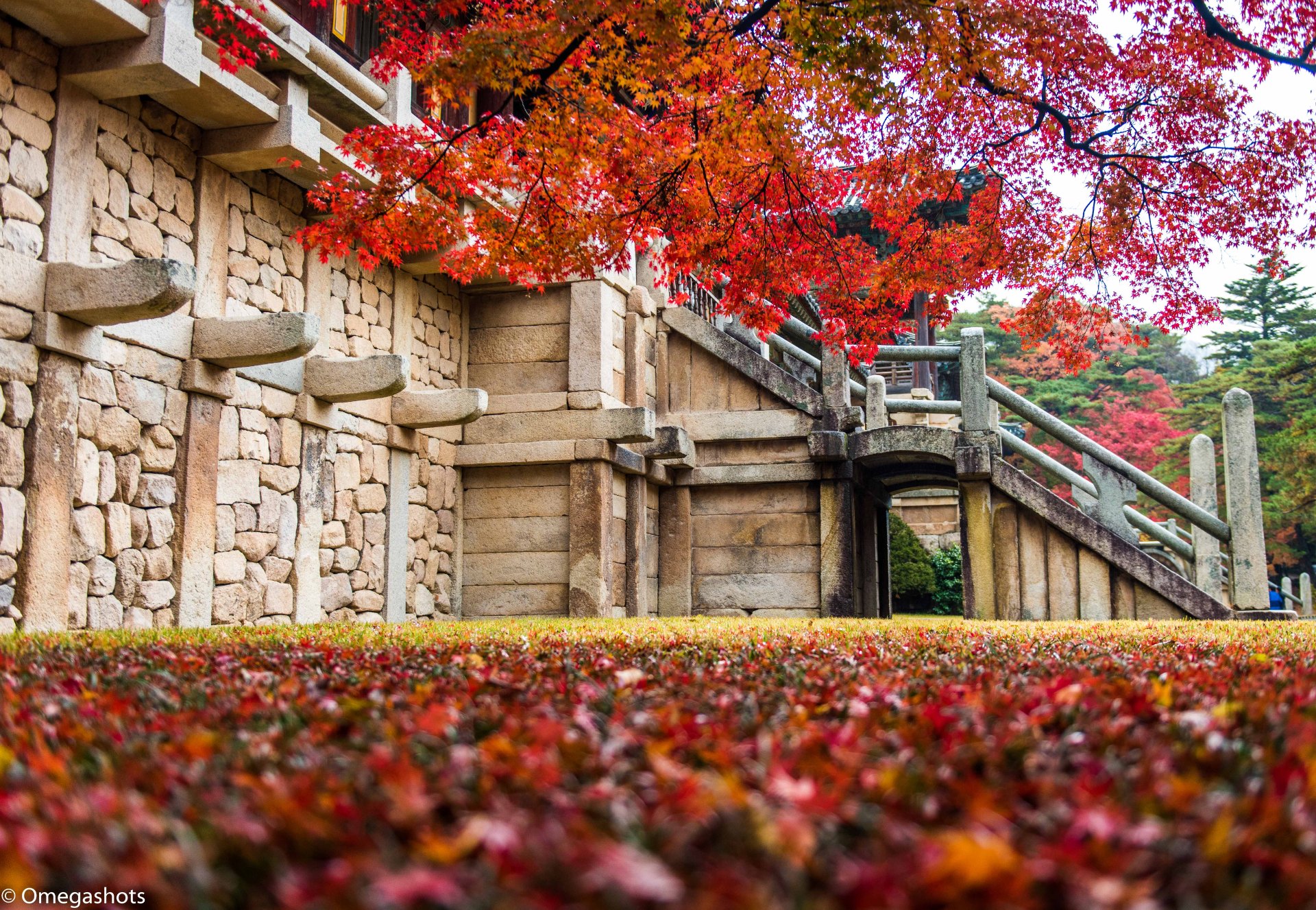 紅葉が色づいたソウルの公園