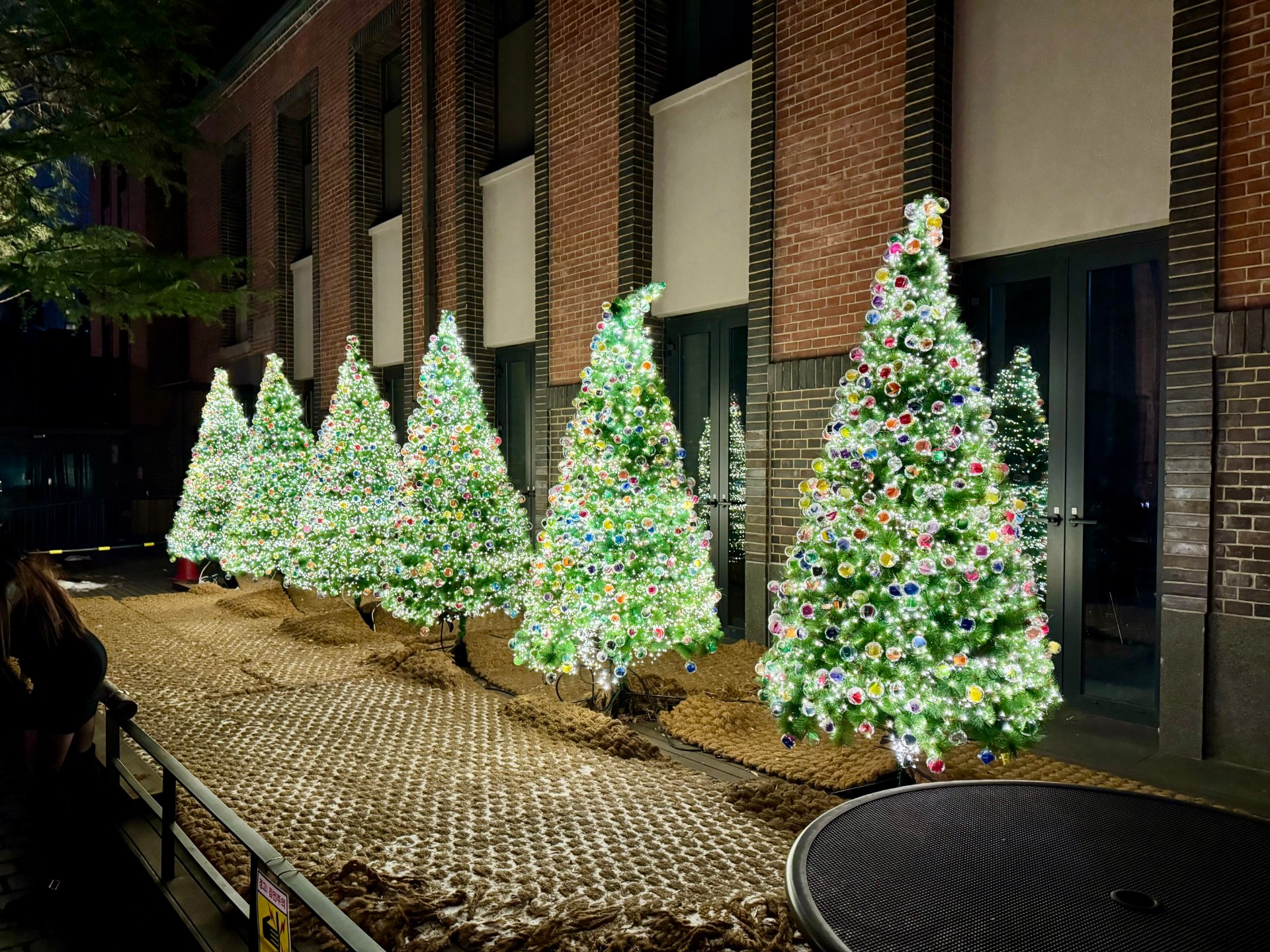Christmas trees lit up in the forecourt of Myeongdong Cathedral