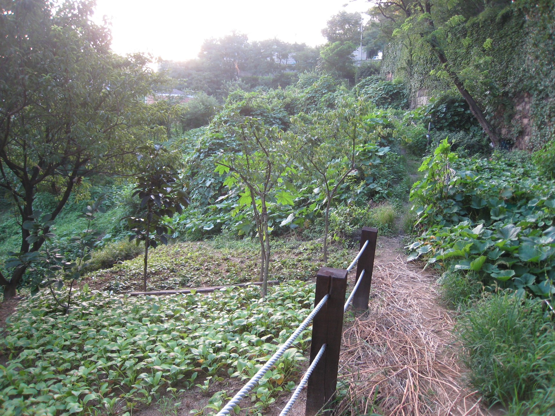 山側の区間は階段が多くなります