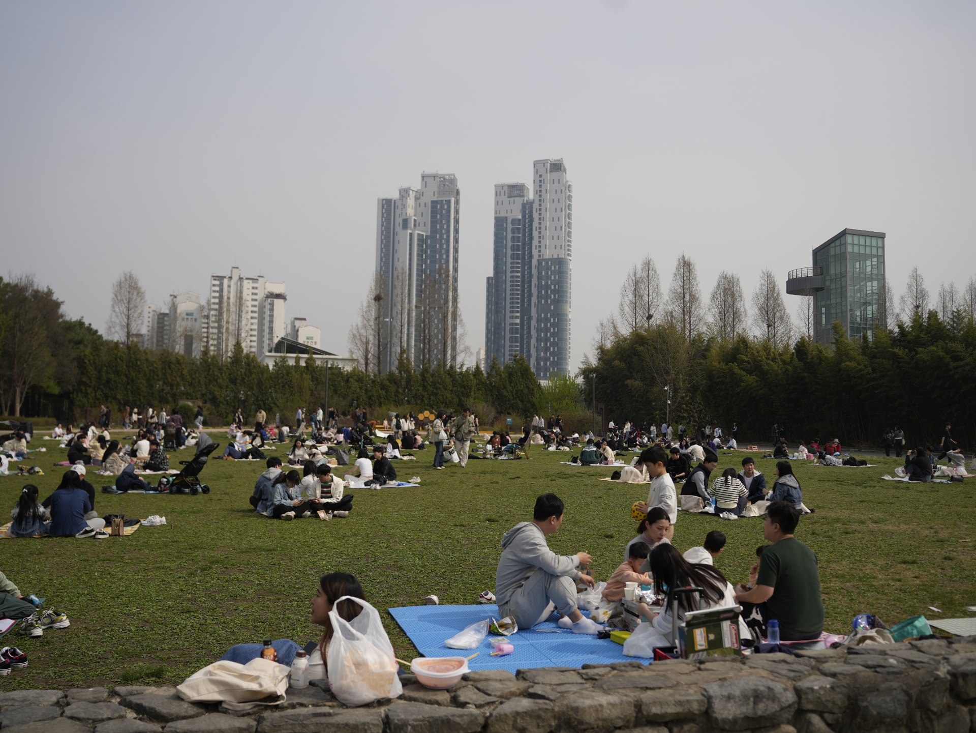 Seoul Forest lawn in spring