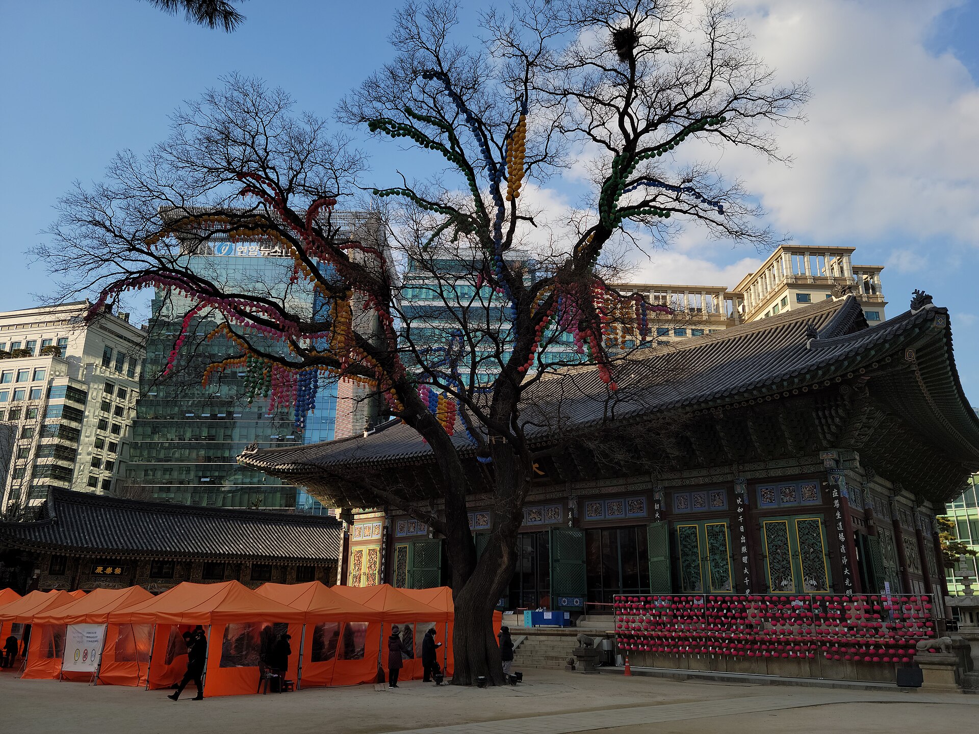 The courtyard and old tree at Jogyesa