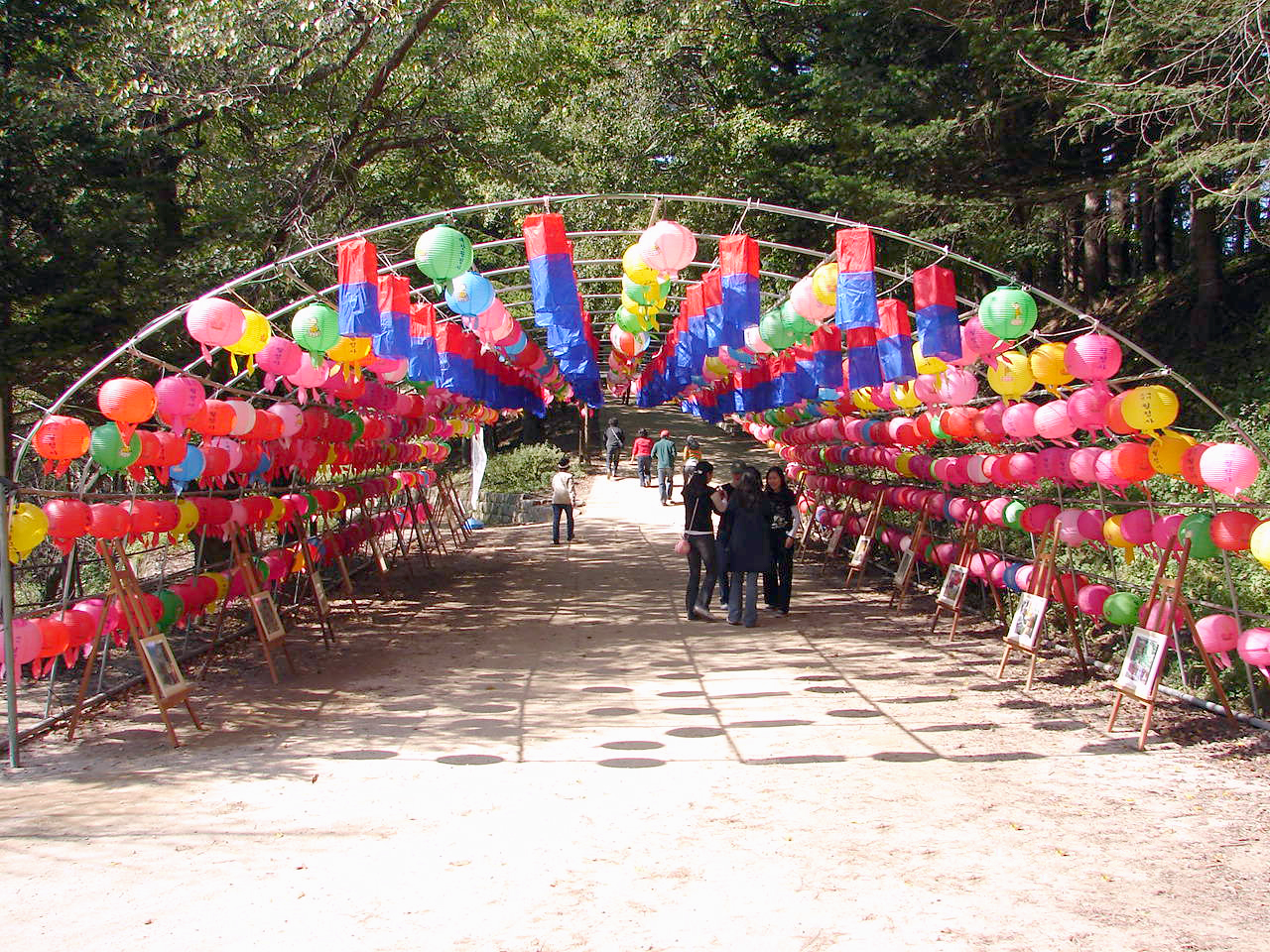 Lanterns along the forest path at Woljeongsa