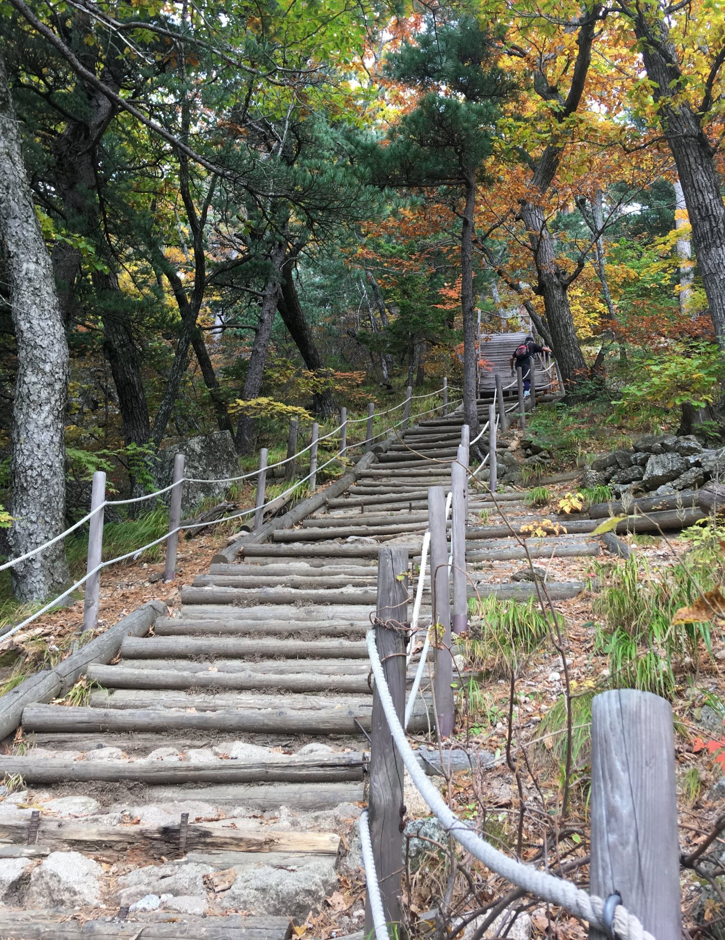 Autumn foliage on the ridges of Seoraksan, Korea