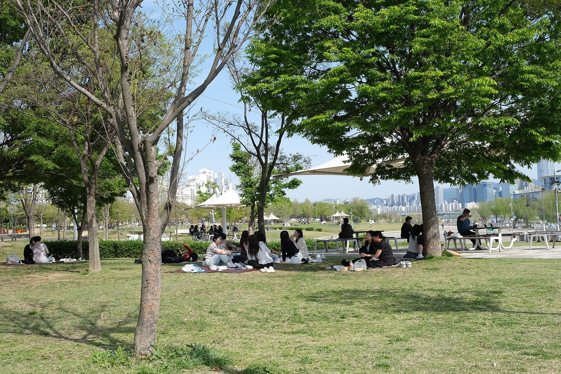 People picnicking on the lawn at Ttukseom Hangang Park