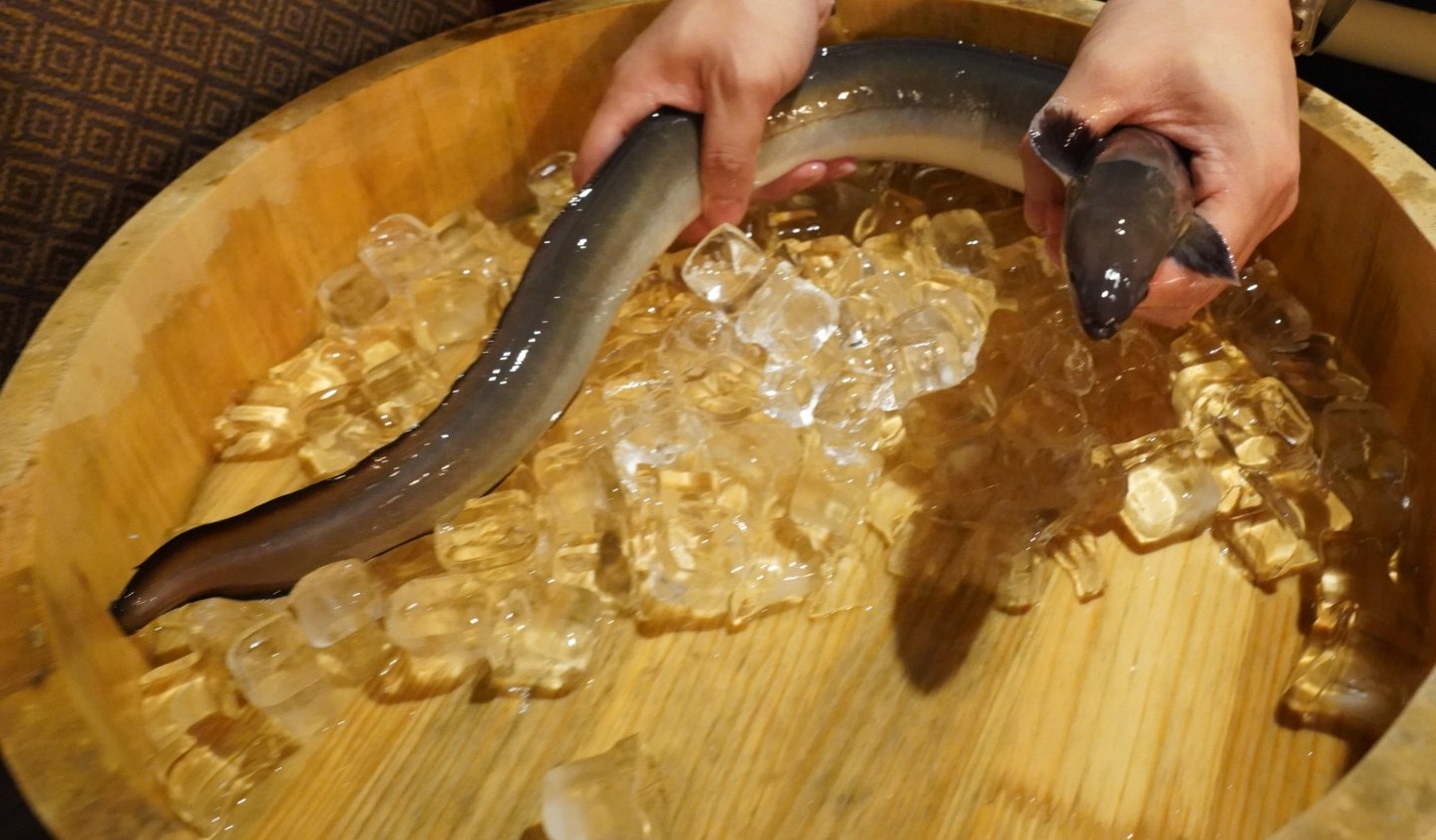 放在裝滿冰塊的木桶上的活鰻魚
